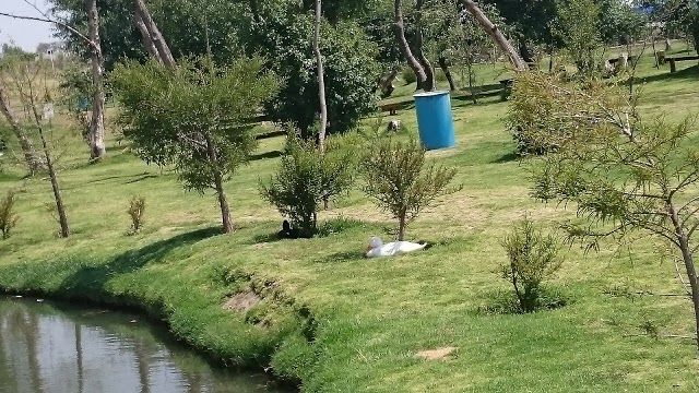 Parque Recreativo El Ameyal